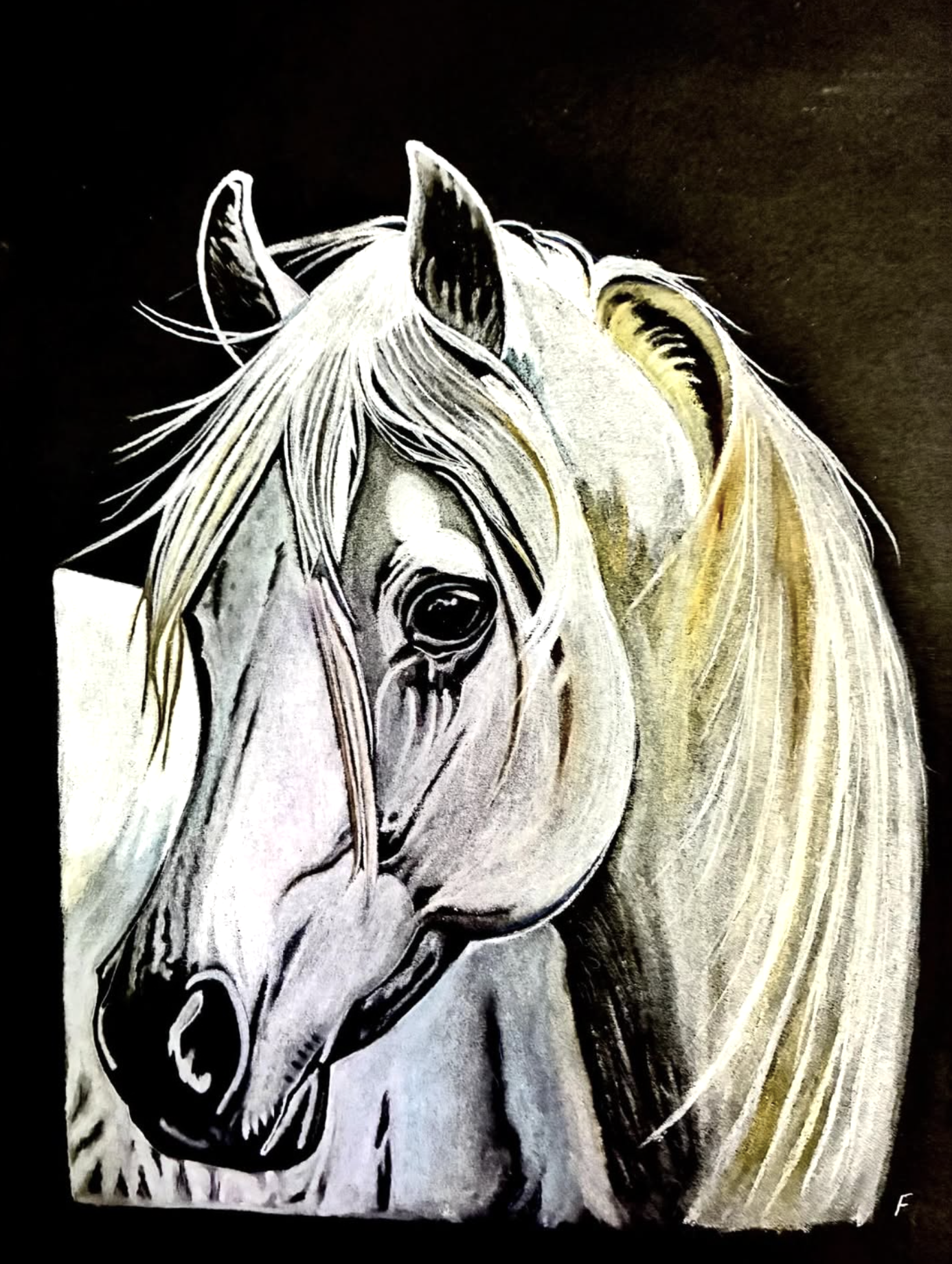 White Horse on Black, drawing by Fulton Allem