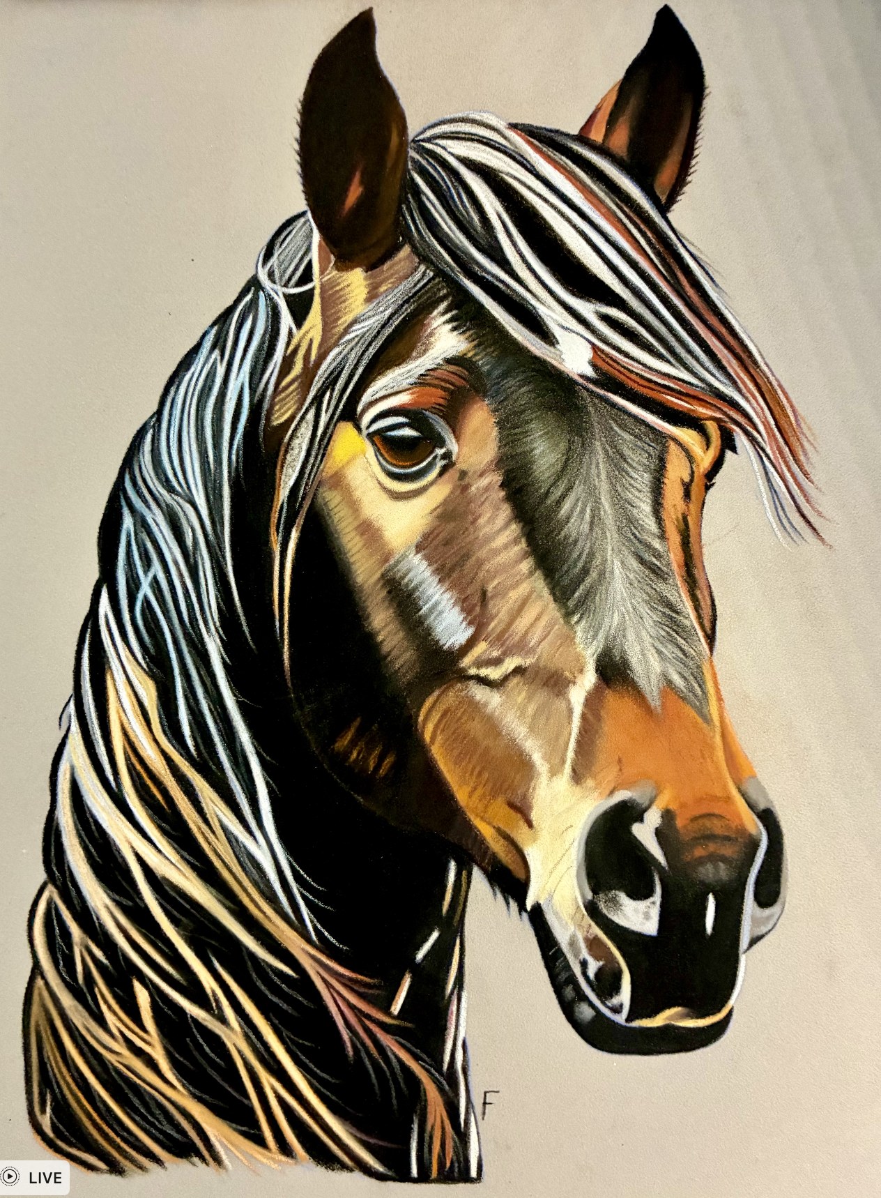 Past custom animal portrait commission 2 by Fulton Allem