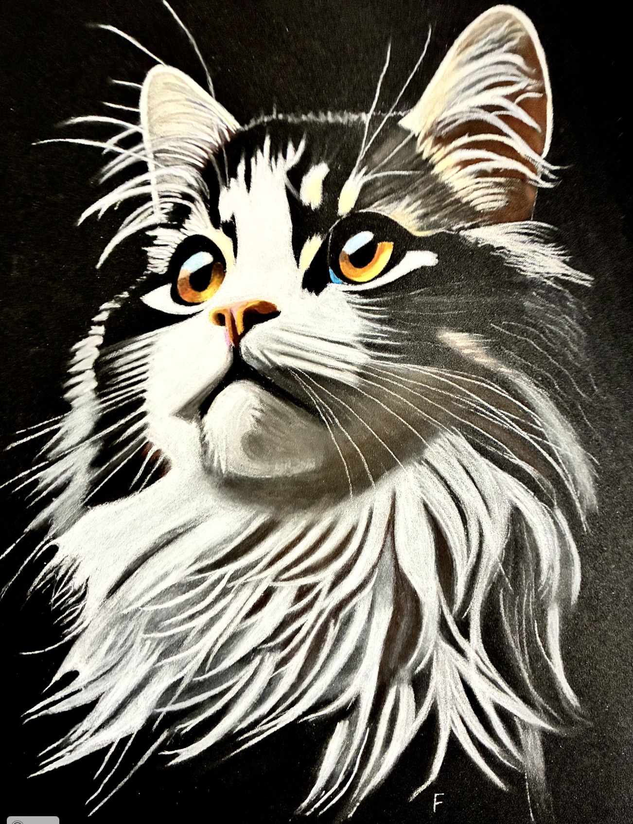 Past custom animal portrait commission 4 by Fulton Allem