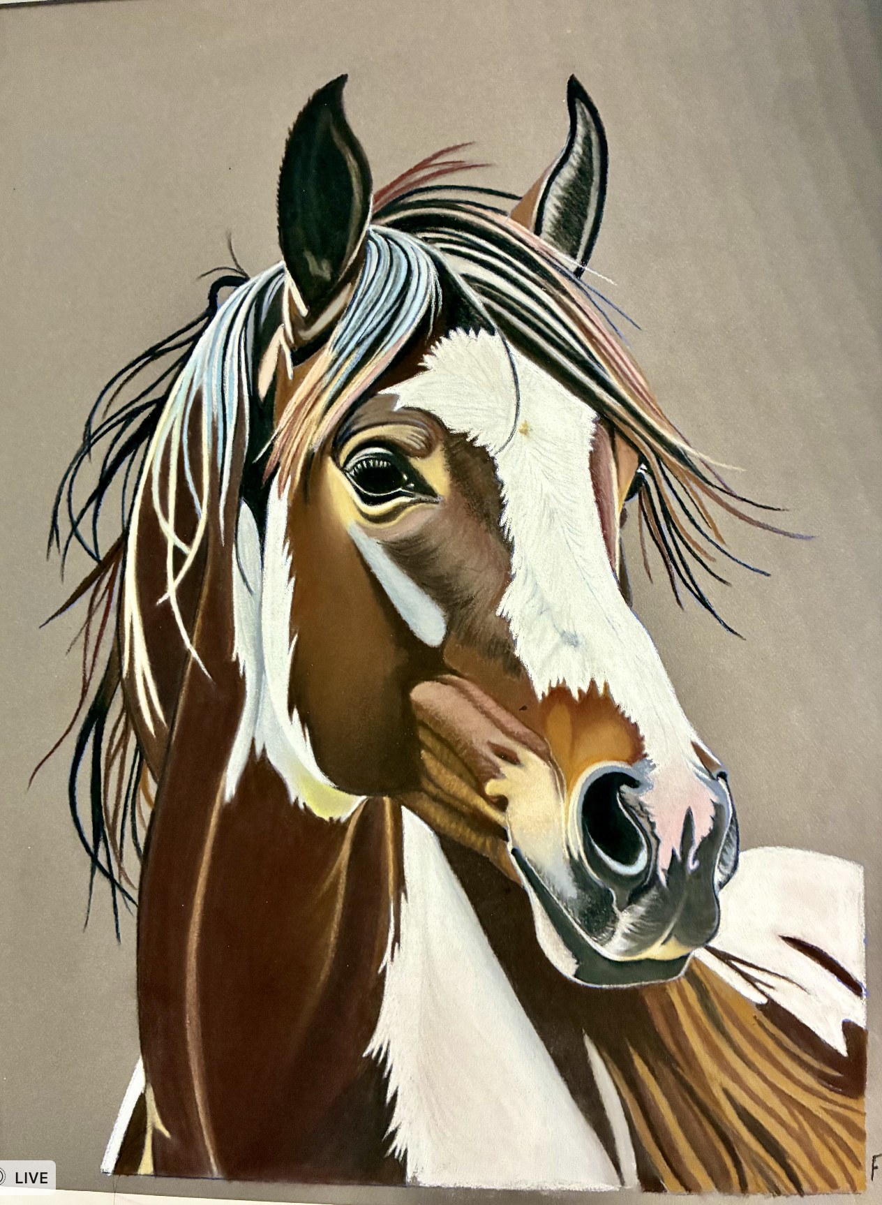 Past custom animal portrait commission 7 by Fulton Allem